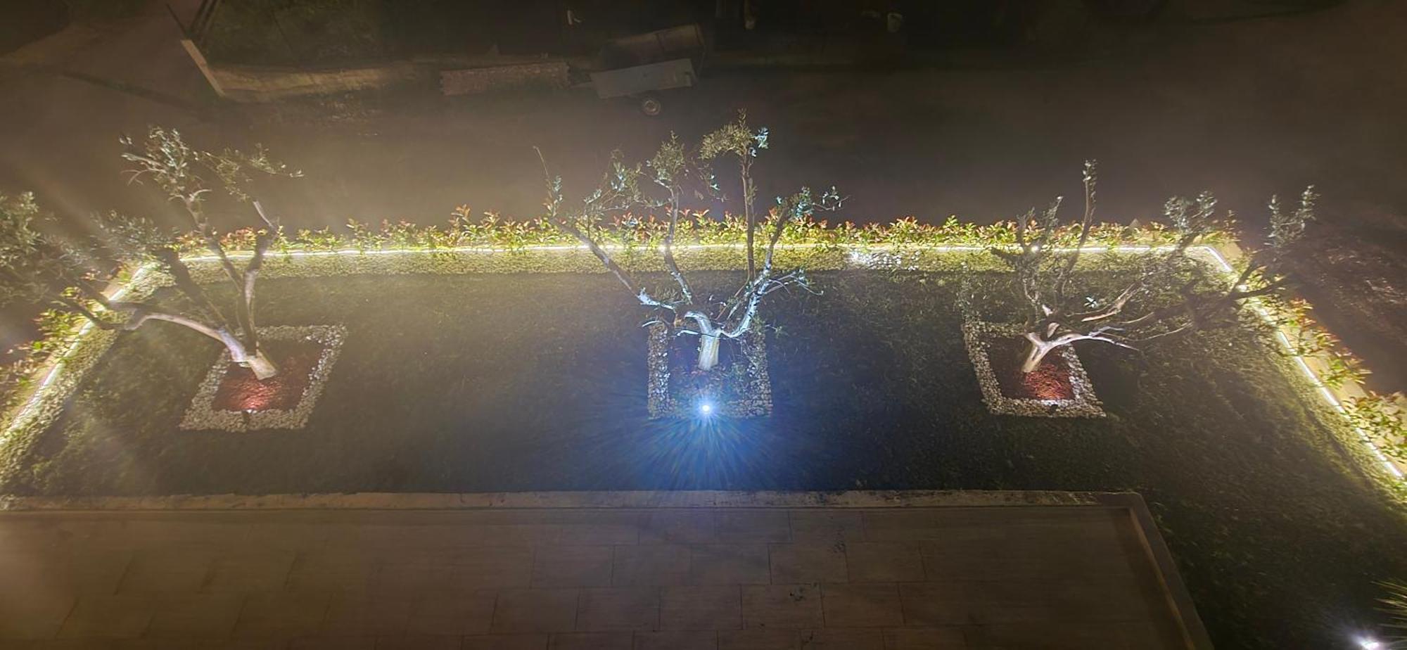Deluxe Apartmani Vila Pejovic Sutomore Bagian luar foto